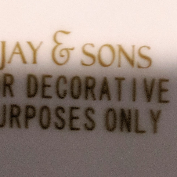 PORCELAIN DIVIDED DISH - Picture 5 of 6